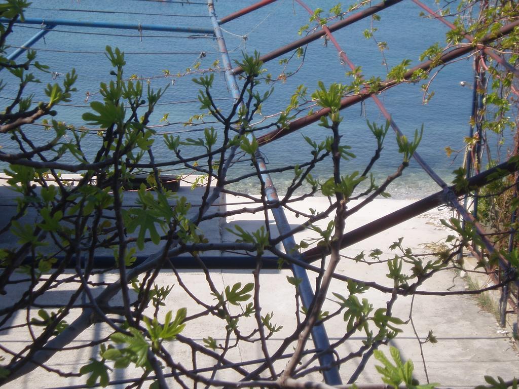 Apartments Karaman Podstrana Phòng bức ảnh
